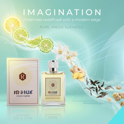IMAGINATION EAU DE PARFUM