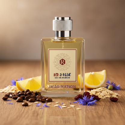IMAGINATION EAU DE PARFUM